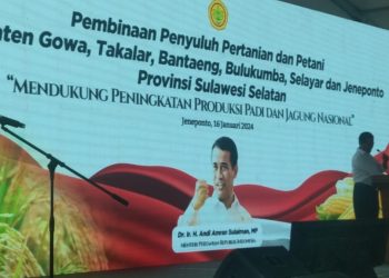 Enam Kabupaten Di Sulawesi Selatan Hadiri pembinaan penyuluh Pertanian Dan Petani Untuk Mendukung Peningkatan Produksi Padi Dan Jagung Nasional Di Kabupaten Jeneponto