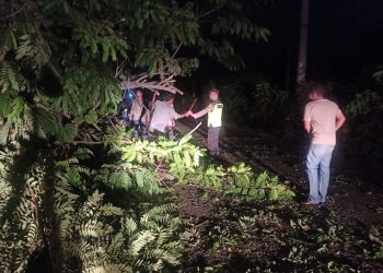 Polsek Tulis Beraksi Cepat, Bersihkan Pohon Tumbang di Desa Kenconorejo