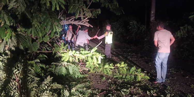 Polsek Tulis Beraksi Cepat, Bersihkan Pohon Tumbang di Desa Kenconorejo