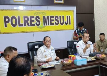 Gerak cepat Pemkab Mesuji selesaikan masalah listrik di Dusun Talang Gunung