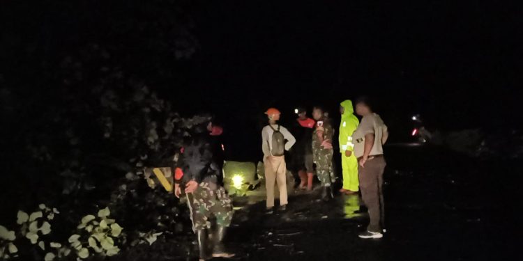Polisi Ngawi Evakuasi Pohon Tumbang di Jalan Jogorogo