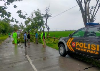 Gercep Polisi Ngawi Evakuasi 3 Pohon Tumbang di Padas