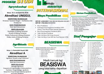 IKLAN
