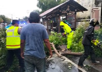 Polisi Ngawi Bantu Evakuasi Korban Saat Hujan Deras dan Angin Kencang