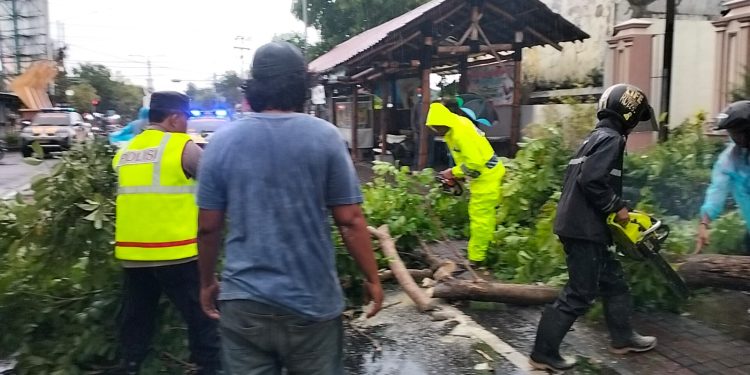 Polisi Ngawi Bantu Evakuasi Korban Saat Hujan Deras dan Angin Kencang