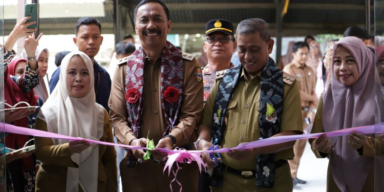 Tingkatkan Mutu dan Kwalitas Pelayanan,RSUD Lamadukelleng Wajo Miliki Ruang Pelayanan Nicu,Picu dan Icu.