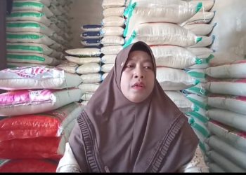 Turunnya Harga Beras Disambut Gembira Pedagang Tradisional di Kendal