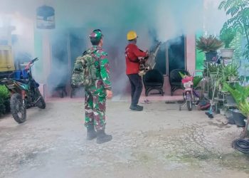 Cegah Penularan DBD, Babinsa Koramil 02/Enrekang Bersama PKM Kota Laksanakan Fogging