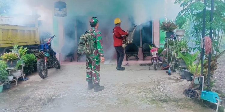 Cegah Penularan DBD, Babinsa Koramil 02/Enrekang Bersama PKM Kota Laksanakan Fogging