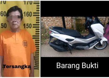Pelaku Penggelapan Motor NMAX di Ringkus Polisi, Ini Kronologinya