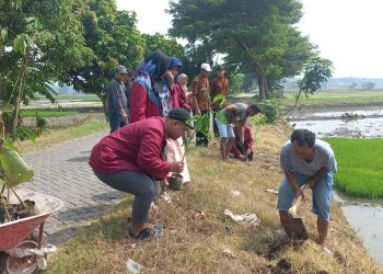 Tanam Pohon di Mantingan oleh STIT Muhamdiyah Tempurejo Ngawi
