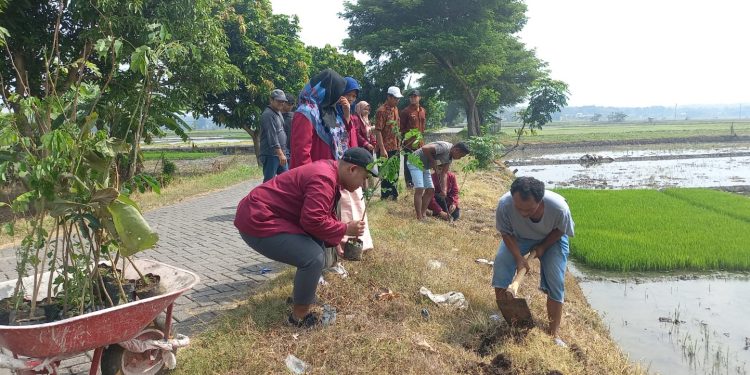Tanam Pohon di Mantingan oleh STIT Muhamdiyah Tempurejo Ngawi