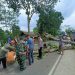 *Kabid Humas Polda Jabar : Pohon Besar Tumbang diterjang Angin, Polisi Bersinergi Dengan TNI, Sigap Lakukan