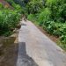 Pembangunan Rabat Jalan Desa Nglurup kecamatan Sendang Berjalan Lancar dan Kondusif