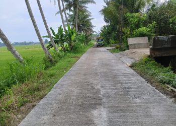 Pemdes Sukorejo Kulon Bakal Realisasikan Pembanguan Infrastruktur di 8 Titik, Ini Harapan Kades
