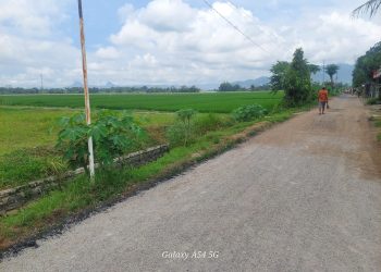 Tahun 2024, Pemdes Kendal Akan Merealisasikan Pembangunan Infrastruktur Sebanyak 4 Titik