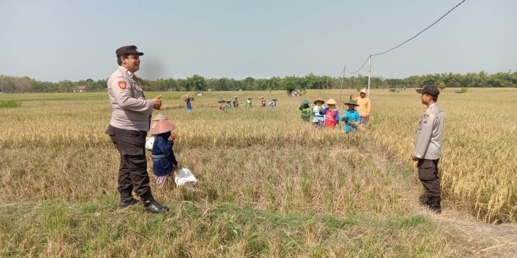 Polisi SAE Ngawi Patroli Dialogis dengan Petani di Kasreman