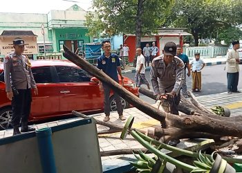 Gercep Polsek Ngawi Bantu Evakuasi  Kendaraan yang Tertimpa Pohon Tumbang