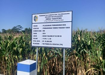 Tahun 2024, Pemdes tanjung melaksanakan pembangunan badan penahan jalan .berjalan kondusif