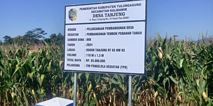 Tahun 2024, Pemdes tanjung melaksanakan pembangunan badan penahan jalan .berjalan kondusif