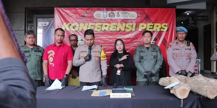 Polres Tulungagung Berhasil Ungkap Kasus Ilegal loging Hutan lindung Petak 7a1 Desa Pakisrejo Kecamatan Tanggunggunung