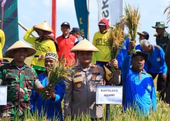 Kapolres Ngawi Hadiri Panen Raya Bersama Pangdam V Brawijaya di Desa Sekarputih Widodaren