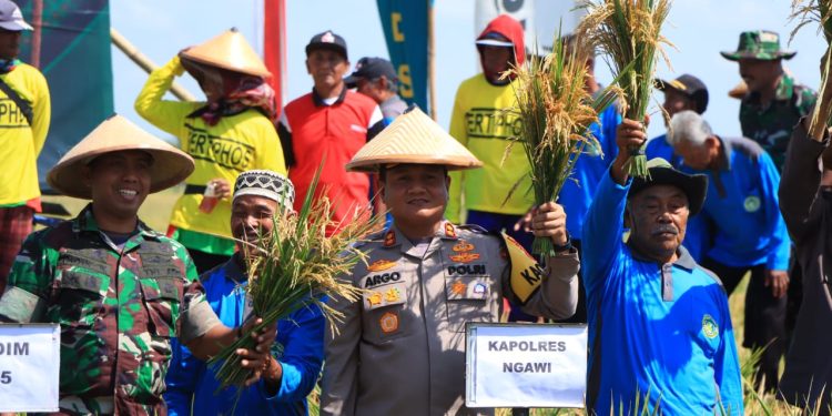 Kapolres Ngawi Hadiri Panen Raya Bersama Pangdam V Brawijaya di Desa Sekarputih Widodaren