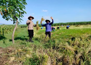 Dukung Ketahanan Pangan, Polisi Kota Kediri Sambangi Petani