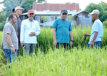 PJ Bupati Jeneponto Junaedi Bakri Mengajak Para Petani Untuk Terus Melakukan Terobosan Dan Berinovasi Dengan Teknologi Pertanian