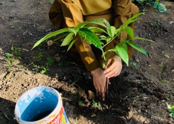 SMKN 3 Jeneponto Gelar Penanaman Pohon Dalam Lingkup Sekolah Dalam Rangka Hari Bumi Sedunia