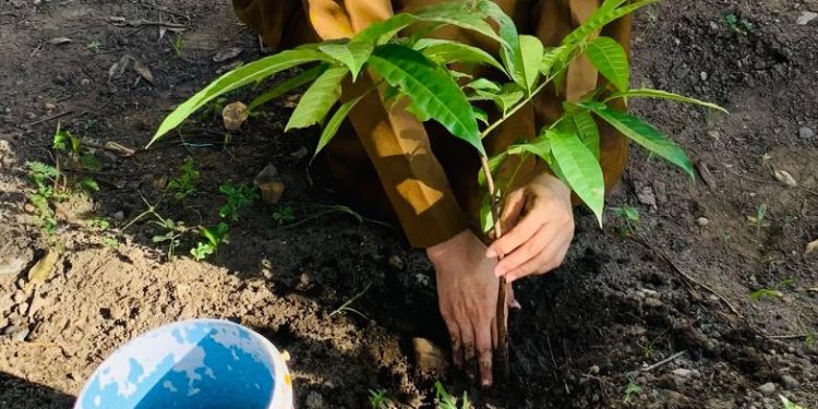 SMKN 3 Jeneponto Gelar Penanaman Pohon Dalam Lingkup Sekolah Dalam Rangka Hari Bumi Sedunia