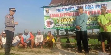 Berantas Hama Tikus di Ngawi, Polsek Karangjati Bersama Warga Lakukan Gropyokan