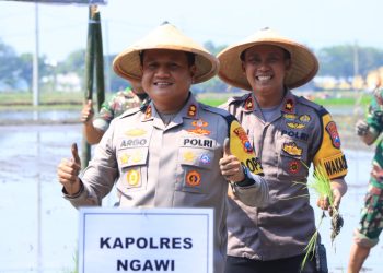 Kapolres Turut Serta Gerakan Tanam Padi Bersama Bupati Ngawi di Geneng