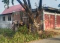 Warga Desa Maero, Suami Dan Istri Terlibat Pencurian Ternak Tiga Ekor Kuda,Rumahnya Dipasangi garis polisi