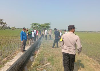 Unik, Cara Polisi Ngawi Usir Tikus di Sawah
