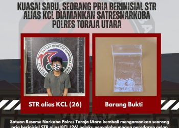 Kuasai Sabu, Seorang Pria Berinisial STR alias KCL Diamankan Satresnarkoba Polres Toraja Utara di GOR