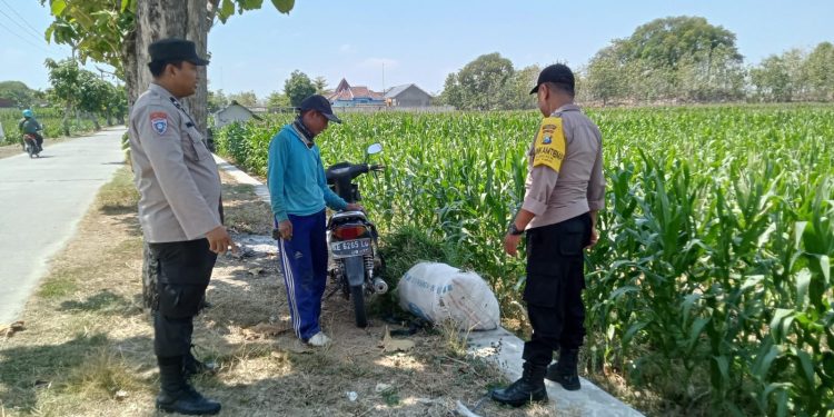 Jaga Ketahanan Pangan di Ngawi, Polsubsektor Kasreman Patroli Dialogis dengan Petani