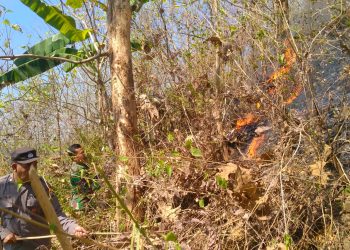 Anggota Polsek Sine Ikut Serta Memadamkan Api di Gunung Liliran Desa Tulakan