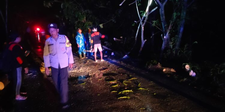 Polisi Ngawi Sigap Evakuasi Pohon Tumbang di Paron Akibat Hujan Lebat