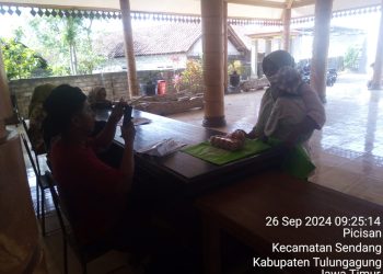 Tanggulangi Stunting, Pemdes Picisan Salurkan Bantuan Pangan Nasional Pada 89 KPM
