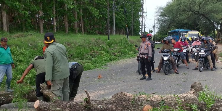 Polda Jatim Cek Kelayakan Almatsus dan Ranmor Dinas di Polres Ngawi Jelang Pilkada 2024