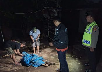 Polres Nganjuk Bongkar Tempat Diduga Judi Sabung Ayam di Kecamatan Ngronggot