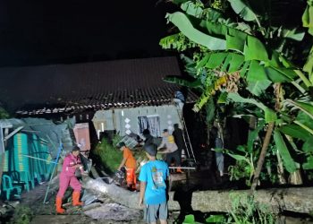 Gercep, Polsek Jajaran Polres Ngawi Tangani Pohon Tumbang di Jalan Raya Akibat Cuaca Ektrim