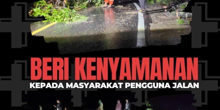 Tutup Badan Jalan, Polsek Tondon Nanggala Bersama Warga Gerak Cepat Evakuasi Pohon Tumbang di Jalan Poros Rantepao-Palopo
