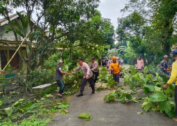 Keselamatan Warga Prioritas Utama, Polisi Ngawi Bersama Relawan Potong Pohon Rawan Tumbang