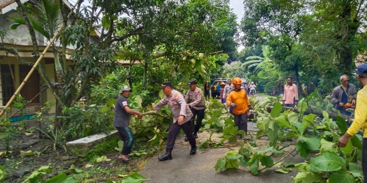 Keselamatan Warga Prioritas Utama, Polisi Ngawi Bersama Relawan Potong Pohon Rawan Tumbang