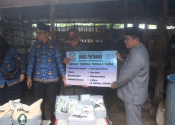 Penyaluran Dan Penyerahan Bantuan Ternak Kuda Di Desa Kalimporo Kabupaten Jeneponto