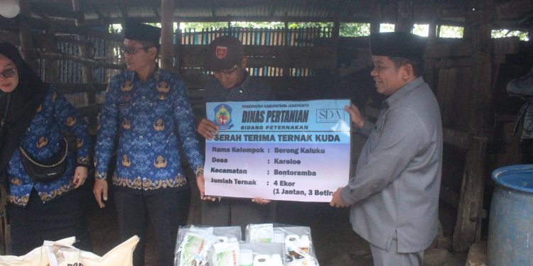 Penyaluran Dan Penyerahan Bantuan Ternak Kuda Di Desa Kalimporo Kabupaten Jeneponto