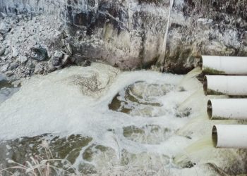 Diduga PT. Don Udang Aquaqulture Mengelola Limbah Mencemari Ekosistem Laut, AMPJ  Laporkan Ke polres jeneponto