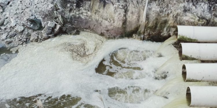 Diduga PT. Don Udang Aquaqulture Mengelola Limbah Mencemari Ekosistem Laut, AMPJ Laporkan Ke polres jeneponto